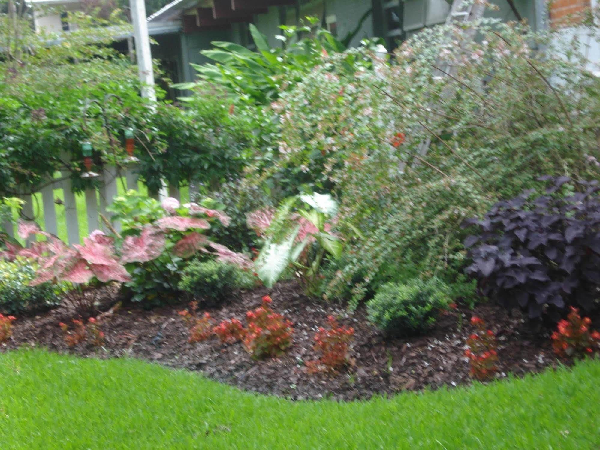 Old Castillo Bed And Breakfast Saint Martinville Exterior foto